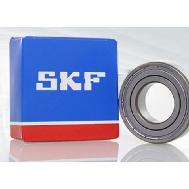 进口SKF特种轴承 