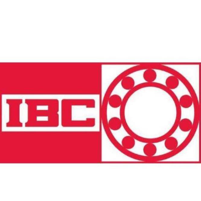 进口IBC特种轴承